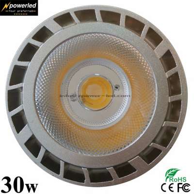 High Quality Special Lighting Shop 30w COB Led Par 30